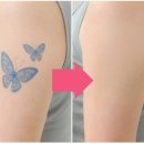 피노코로 이미지