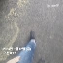 행복한금돼지 이미지