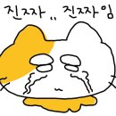 더조은투어 이미지