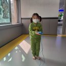 용인대 지노태권도 이미지