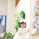 민들레사진관 - 시흥시 목감둘레로 253-24 | 부천드마리스 돌스냅 - 노란꽃 민들레 사진관 스냅사진 후기