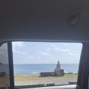 나포칼국수 | 제주도 서귀포 맛집 형제섬보말칼국수 보말죽 내돈내산 후기