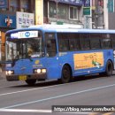 (주)대진여객