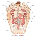 발 관리법 두한족열(頭寒足熱) 이미지