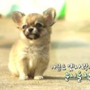 성찬목장 이미지