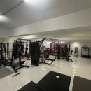 GYM223 이미지