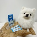 럭키덴탈 | [강아지 고양이 구취제거] 프루티바스켓 언센티드 비건 펫 덴탈워터 후기