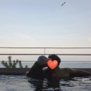 마루펜션 | 포항 오션뷰 수영장 풀빌라마루