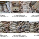 (주)정도물산 이미지