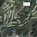이국주 선생 묘 Daum카페