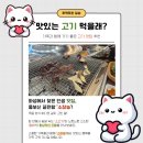 씨유 봉담이편한점 | 화성 맛집 소장농, 봉담 맛집에서 즐기는 소고기와 장어! 가족 외식 추천 코스 후기