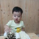 260903 버섯 탐색~~ 이미지