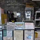 애니멀타임 | 화성 봉담 하이애니멀 동물 먹이주기 아기랑 실내 이색체험 주말 방문 후기