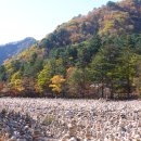 설악산 백담사 계곡(영실천) 수천개의 돌탑 소원을 말하다 이미지