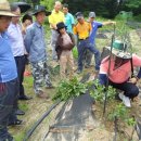 신농농장 이미지