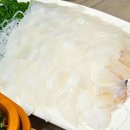 초심 | 목포 갑오징어 맛집 술집 해산물 제철회 잘하는 초심회포차 재방문 후기