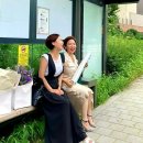 인셀덤채연