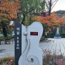 황지동우체국 이미지