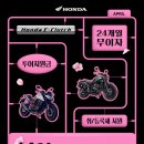 호넷컴퍼니 이미지