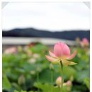 연욱농장 이미지