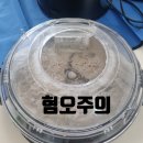 경기도 수원시 장안구 경수대로994번길 | 수원 패브릭 소파 청소 후기(비치움 조이숨케어) | 아기 있는 집 강추!