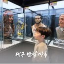 대구 반달마루 뭐 하는 곳? 직접 가보고 알게 된 3가지