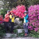 양평막국수 이미지