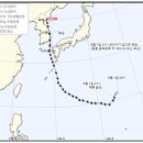 하이선 경향신문