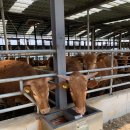 경남축사 이미지