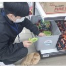 평창군보건의료원 이미지