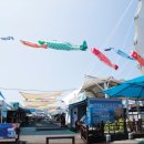 푸른감(푸른感) 이미지