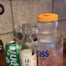 Review | 새로 신상 오미자맛 제로슈가 솔직후기 🍇🍷술집,편의점구매 내돈내산