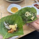 [화성/동탄] 유쾌한회세꼬시 동탄역 회 맛집 첫 세꼬시 후기