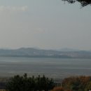 파주맛고을낙지마당 이미지