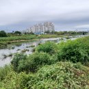 농수산오거리 이미지