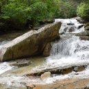 금원산 자연휴양림 이미지