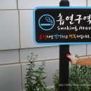 나무그래픽 이미지