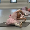 배방 유아발레 / 볼쇼이발레학원 6살 1년 째 다니고 있는 후기
