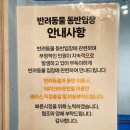 고에이프 | 부천 옥길동 카페 에이프 방문 후기, 식물 뽑기부터 카이막까지 감성 플랜트 카페