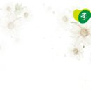 [효원상조/상조후기] 광진구청 이태전회원 의전 감사