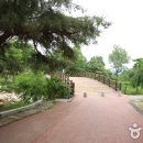 용문산 관광지 이미지