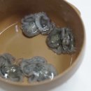 남도뻘낙지 이미지