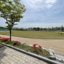 별빛 중학교 | 영천 별빛 중학교 반려견 행동지도사 진로체험 산책 교육 활동 출강 후기