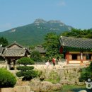 제주도감상암