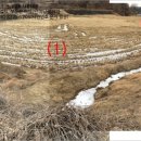 경기도 안성시 양성면사무소 이미지