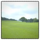 (주)도고칸트리구락부 이미지