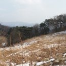 뉴랜드공인중개사사무소 이미지