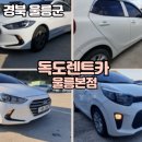 (주)울릉가이드
