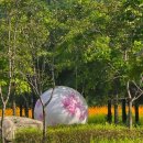 찬우물근린공원 이미지