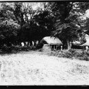 완도 장좌리 당제 및 당굿 이미지